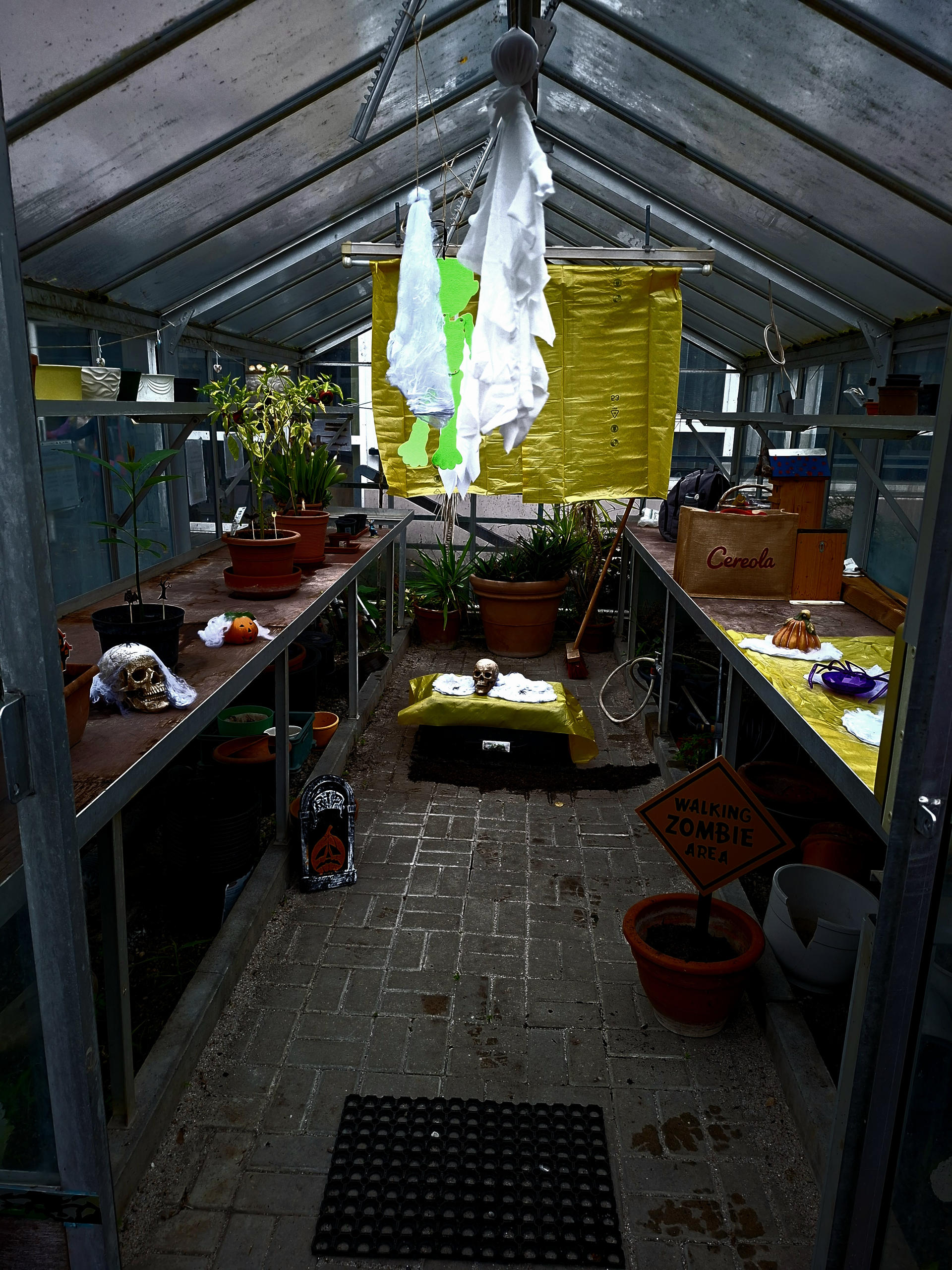 2025-Grusel-Gewächshaus-01