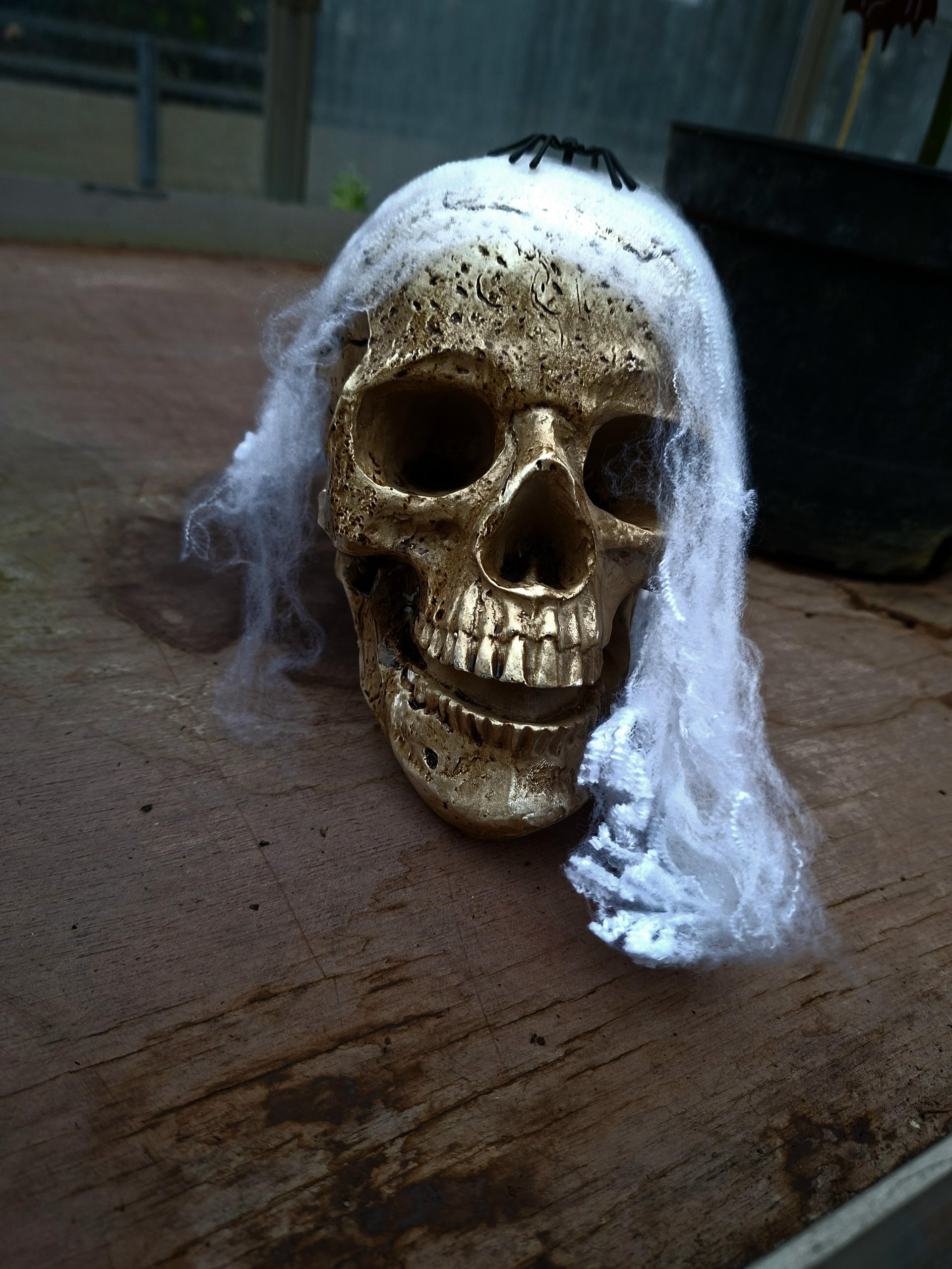 2025-Grusel-Gewächshaus-02