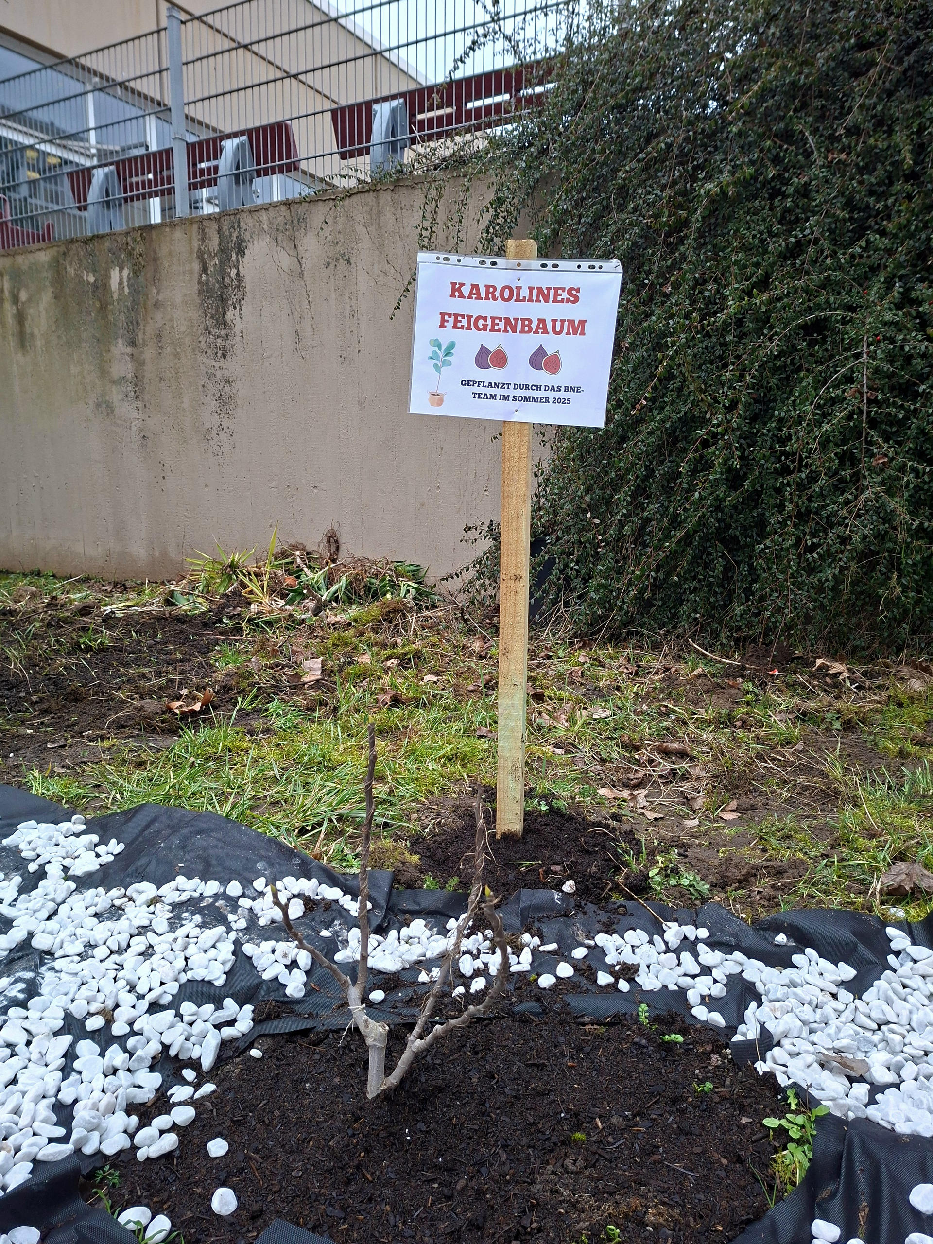 2026-Karolines-Gartenweg-02