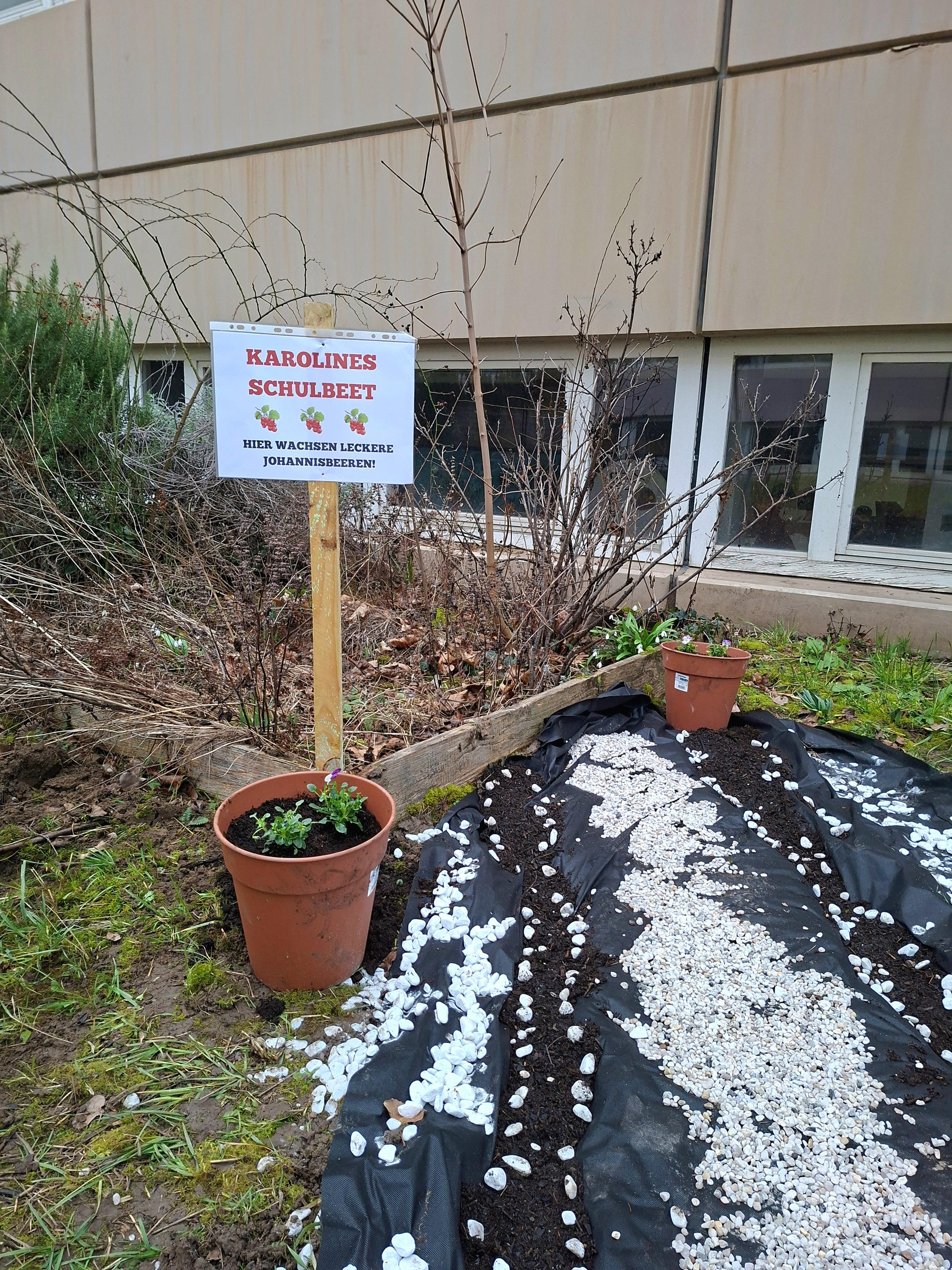 2026-Karolines-Gartenweg-04