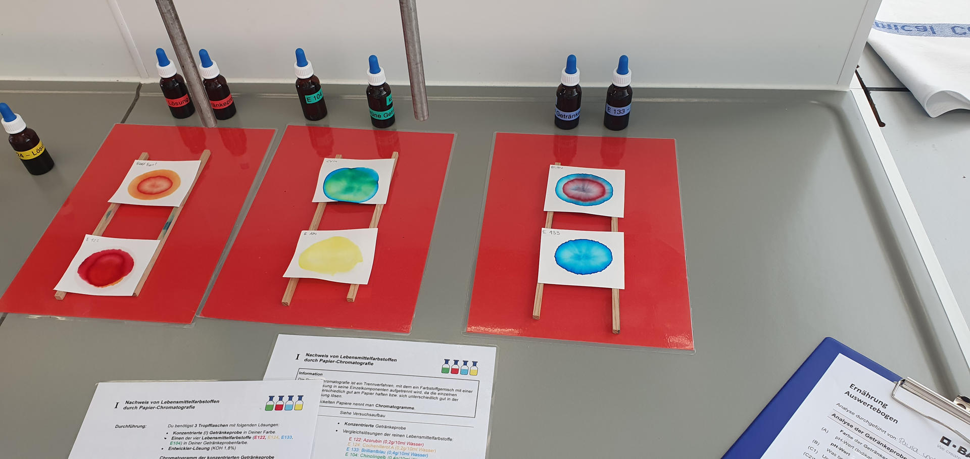 2026-BASF-Schuelerlabor-10