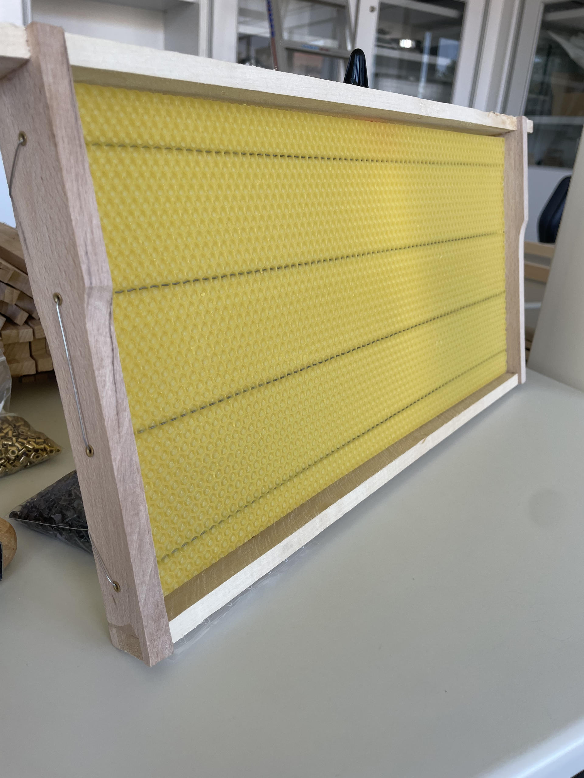 2026-Bienen-AG-04