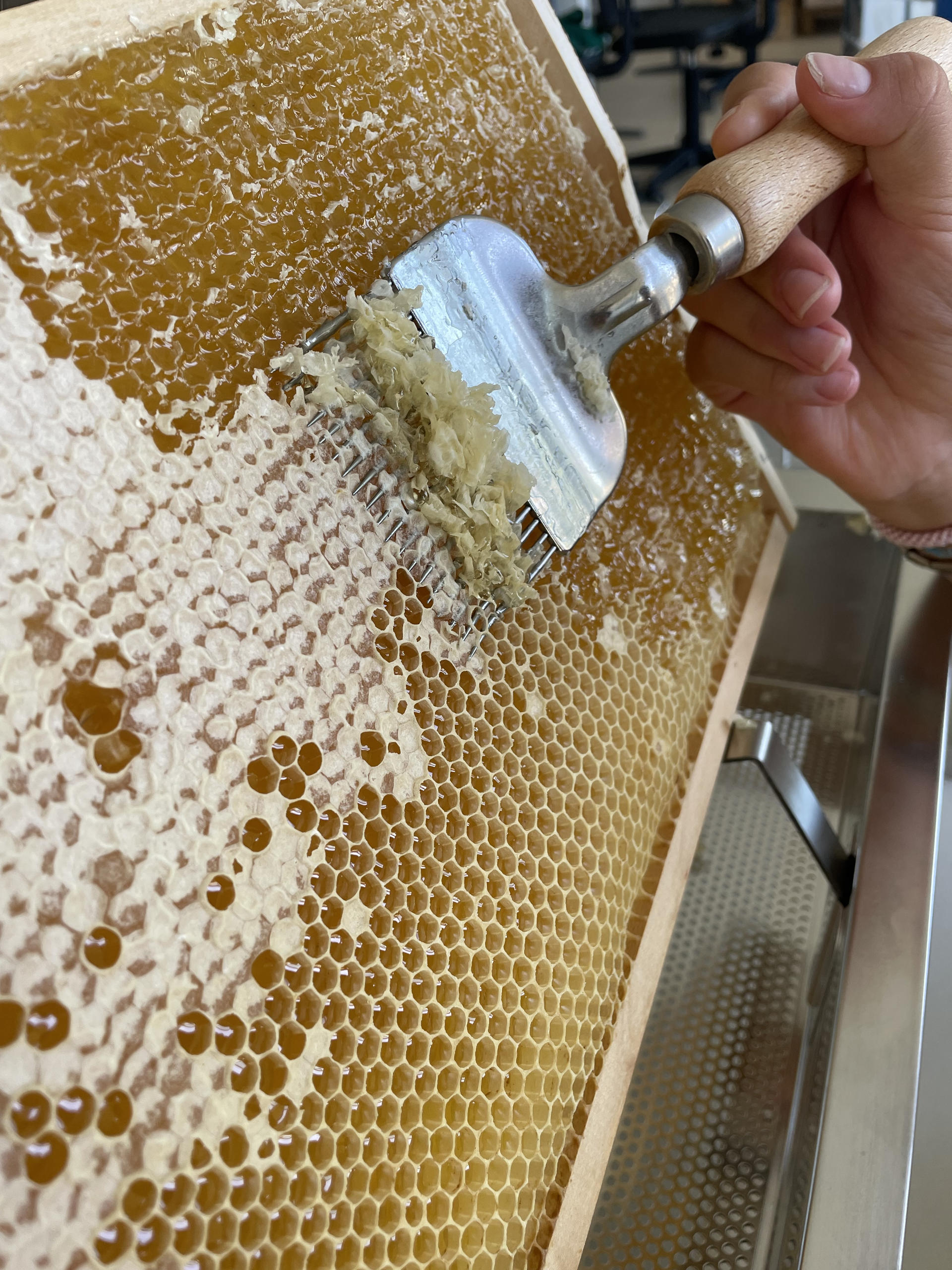 2026-Bienen-AG-06